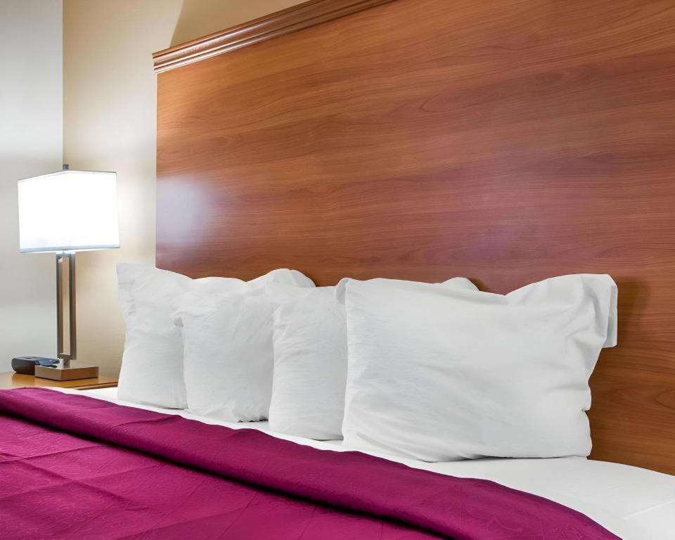 Quality Inn Ottawa Near Starved Rock State Park Экстерьер фото